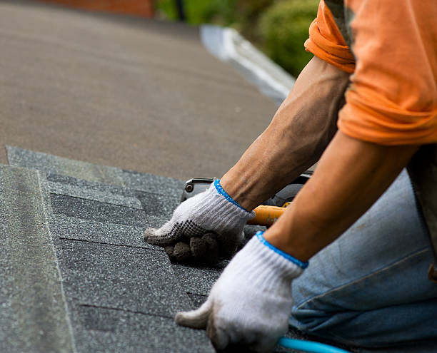 Best Roof Waterproofing Services  in Custer, SD
