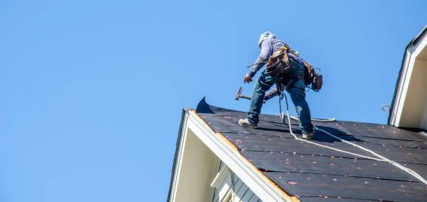 Best Flat Roof Repair Services  in Custer, SD